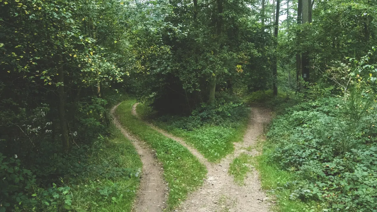GEO vs SEO: qual a diferença e por que você precisa dos dois